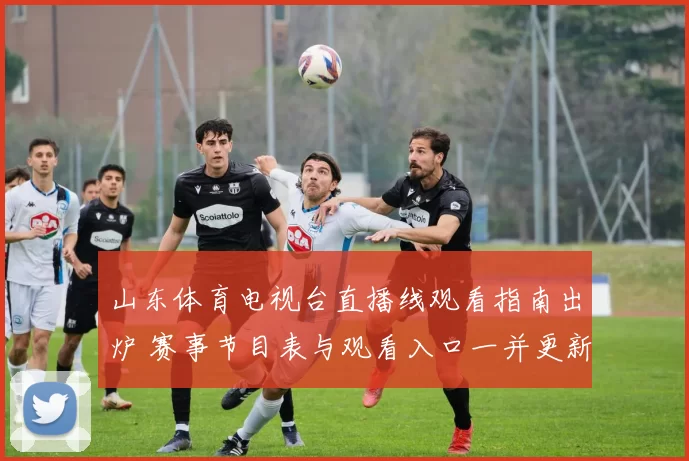 山东体育电视台直播线观看指南出炉 赛事节目表与观看入口一并更新