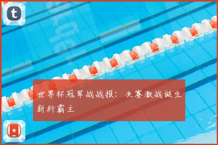 世界杯冠军战战报:决赛激战诞生新科霸主